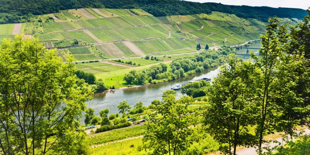 Moselle