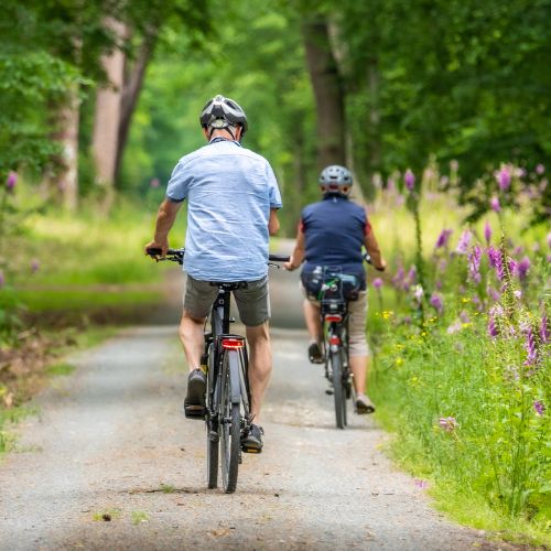 Que faire en Lorraine ? Nos idées d’Activités et de Sorties