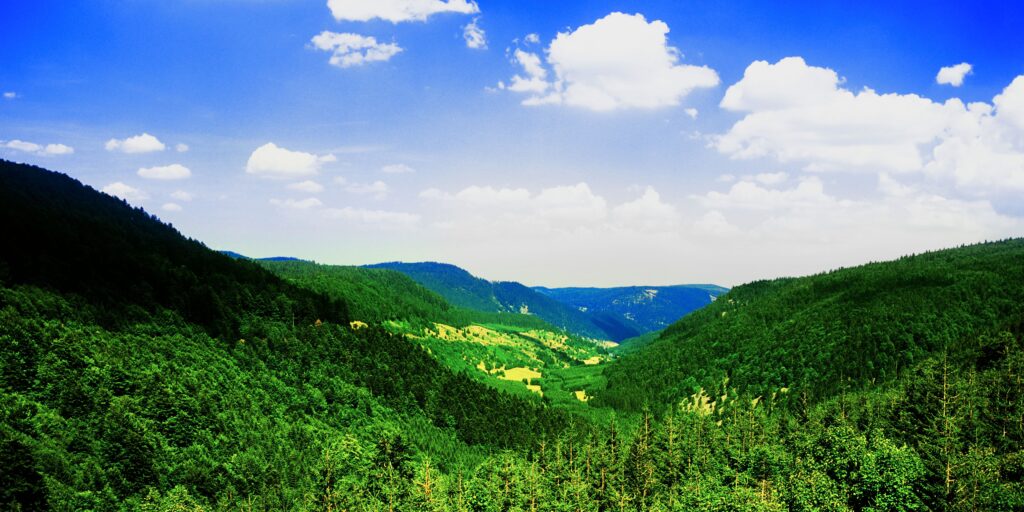 Que Faire dans les Vosges ? Activités et Loisirs à Découvrir
