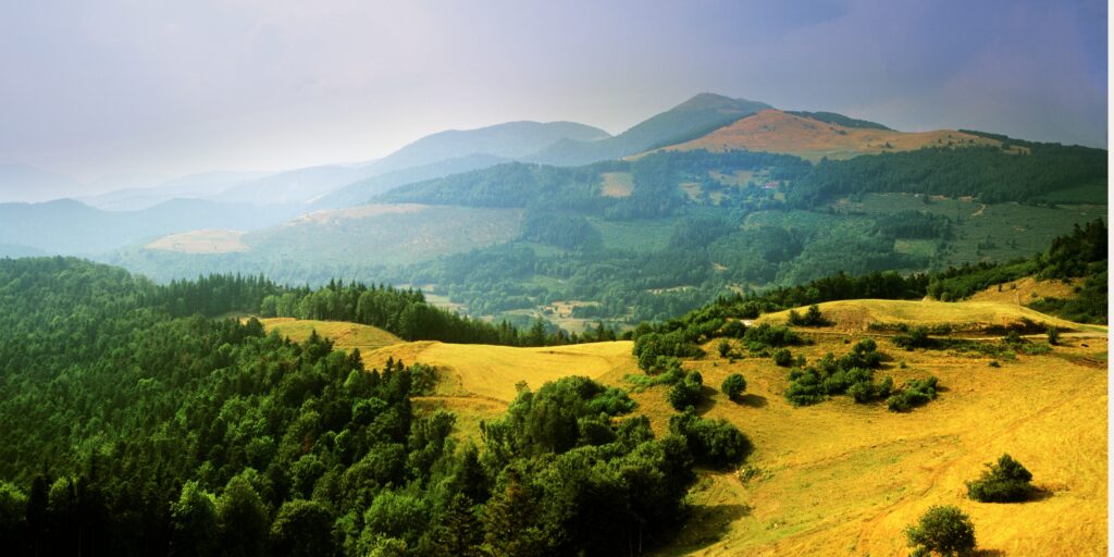 Sortie en Famille dans les Vosges : Nature et Aventure