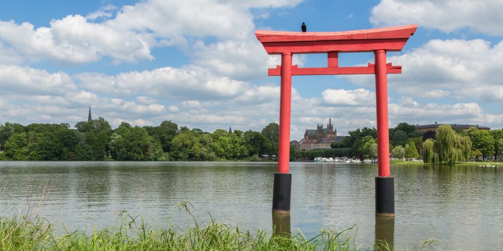 Metz Plage : Envie de plus de fun ? Direction Walygator !
