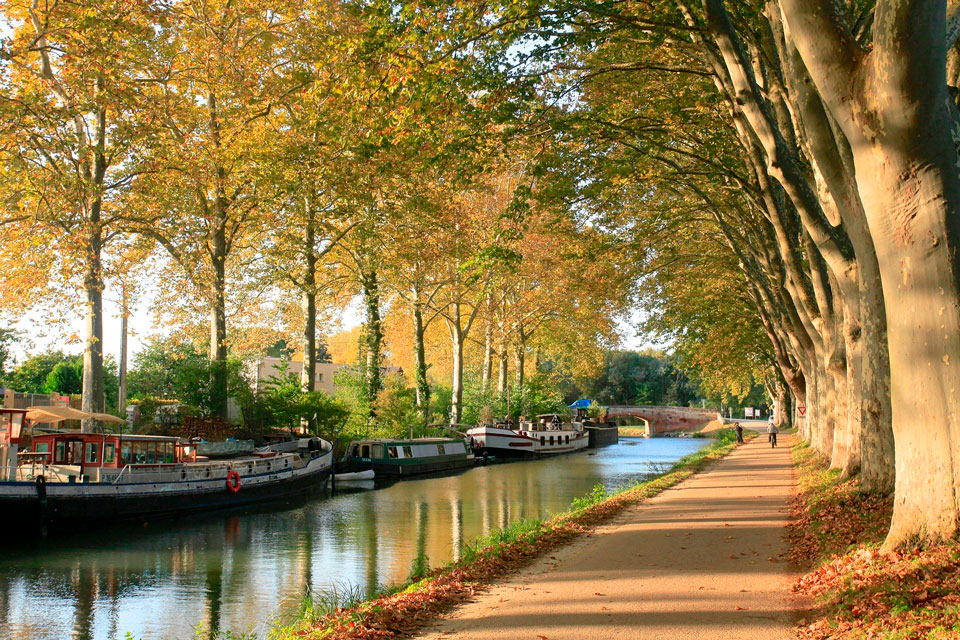 Découvrez la Garonne, au cœur d’Agen, pour voyager au fil de l’eau