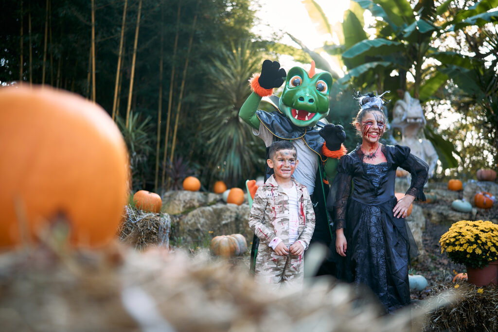 Fêtez Halloween à Walygator Sud-Ouest :