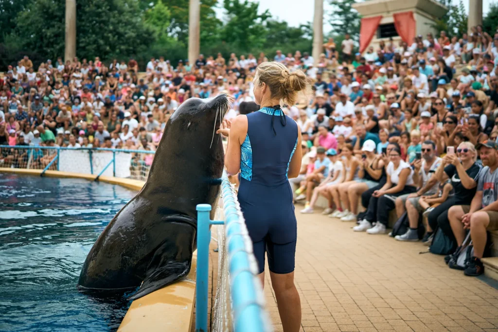 Show des Otaries 